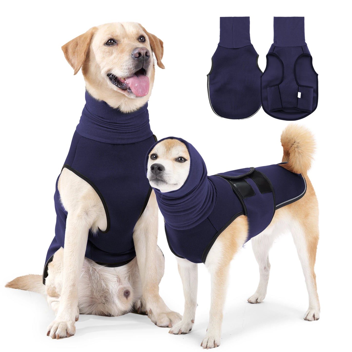 Dog anxiety vest, calm dog resting