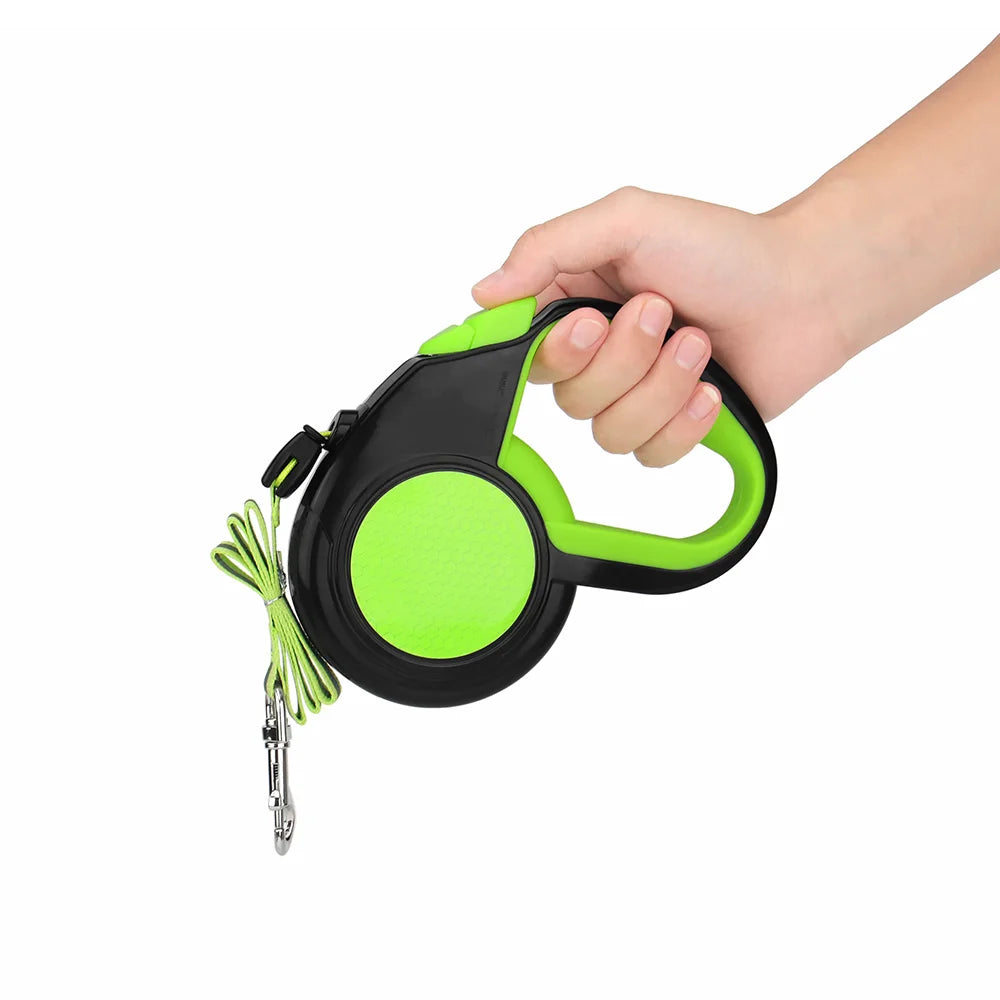 Retractable dog leash, dog walking outdoors
