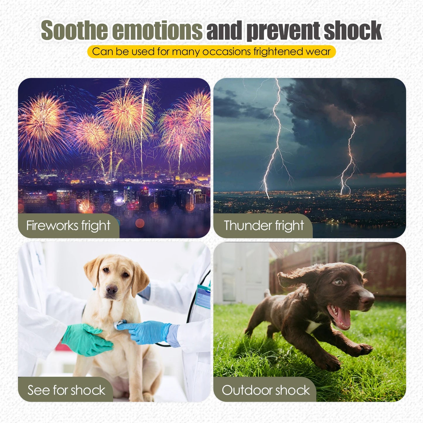 Dog anxiety vest, dog wearing during thunderstorm