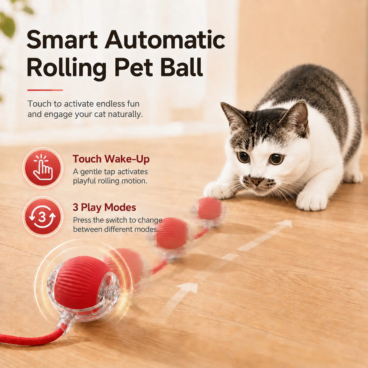 Cat playing with interactive rolling ball toy